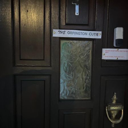 Wisdom Care: The Orpington Cutie Exterior photo