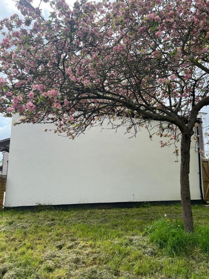 Wisdom Care: The Orpington Cutie Exterior photo